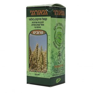 פרוביט