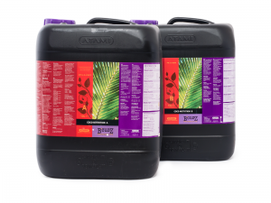 Atami B'cuzz Coco Nutrition A B