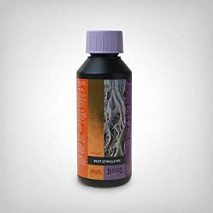 Atami B'cuzz Roots Stimulator