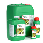 Bio Nova – X-cel