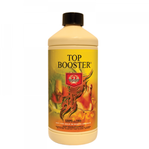 House & Garden Top Booster