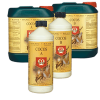 coco a b