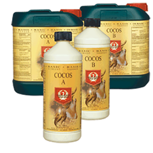 coco a b