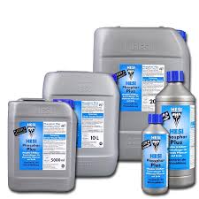 Hesi Phosphorus Plus
