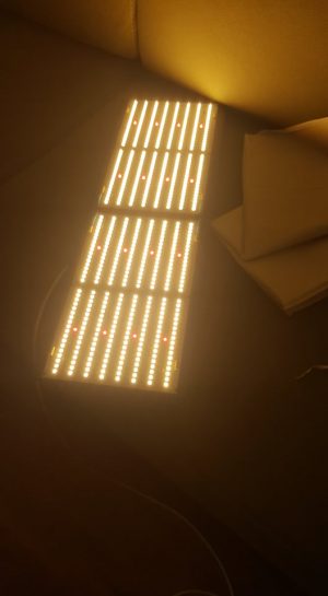 מנורת לד קוואנטום בהספקים שונים LM301B 3000k+660nm cree QUANTUM BOARD QB288
