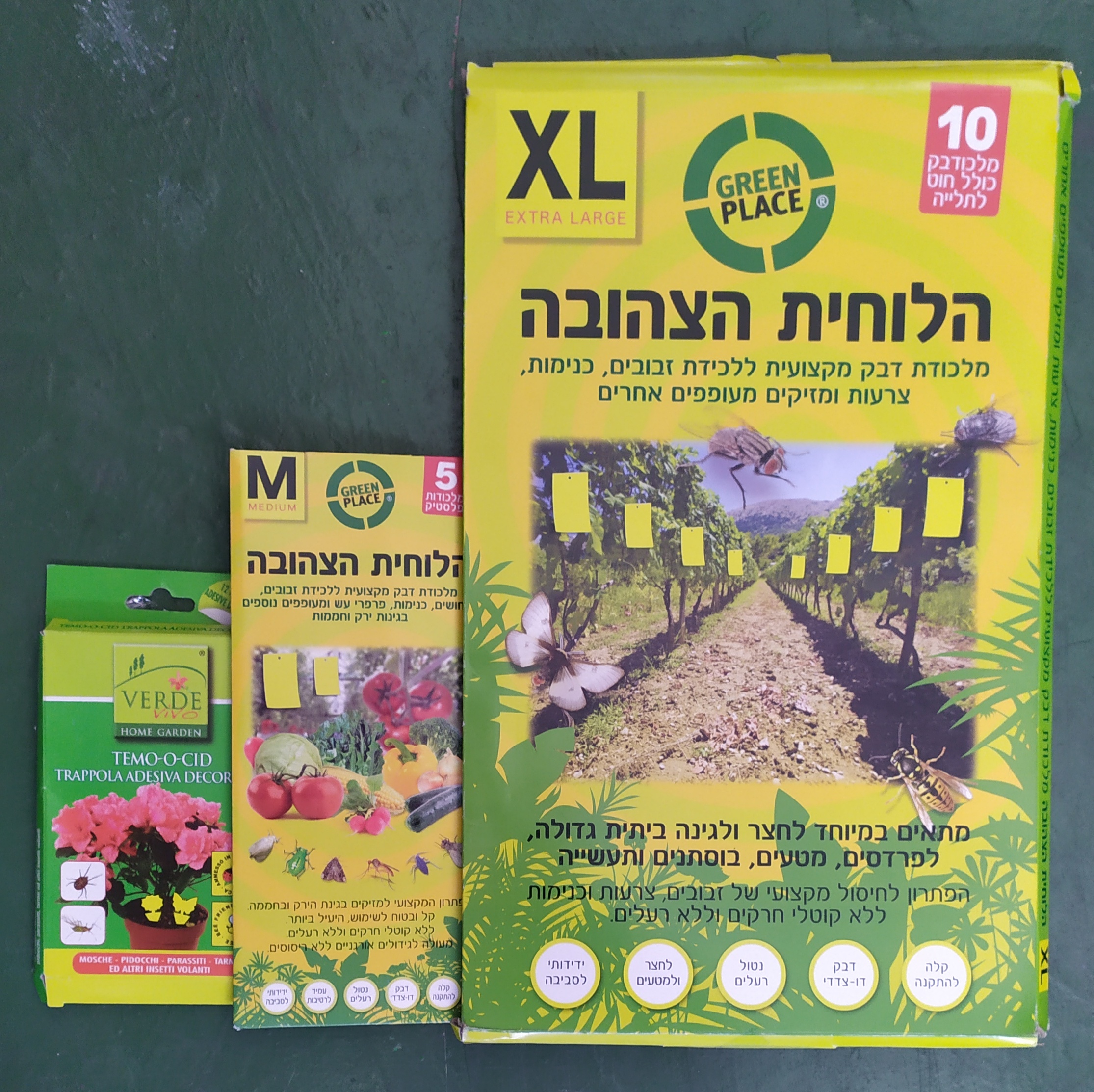 הלוחית הצהובה