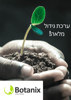 ערכות גידול מלאות- למתחיל עד המתקדם
